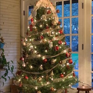 Meet your Posher, Dhenya